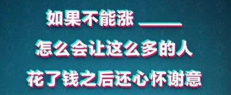 鸟哥笔记,短视频,飞瓜智投,流量,播放量,短视频