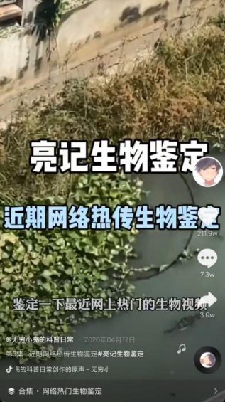 932 抖音7天吸粉111万，揭秘《无穷小亮》的涨粉科普日常！