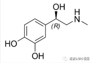 203 取标题的七种技巧，24个案例剖析。