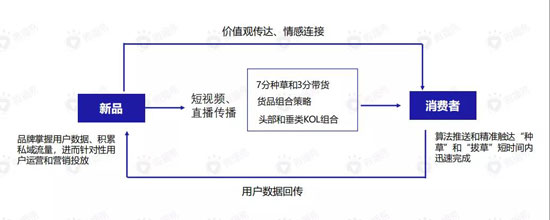 175 直播带货的黄金组合策略：这份新报告答的都是好问题