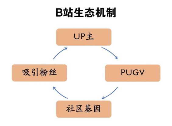 a495 钉钉、淘宝、天猫……阿里全家入驻B站整活，小破站到底凭什么？