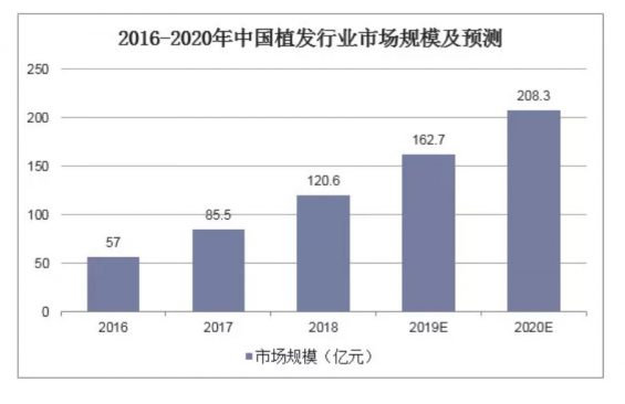 a39 2.5 亿人脱发，这个市场是怎样的？