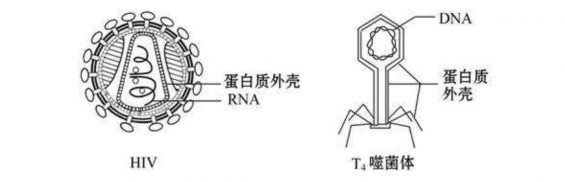 a42913 病毒学中的裂变增长奥义：用户增长全链路拆解