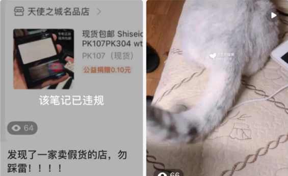 a456 小红书KOL速成指南(2)：笔记限流的秘密