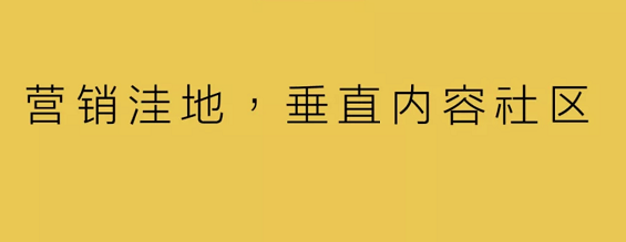 a18  营销洼地，垂直内容社区