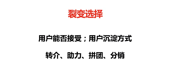 1 255 4步提升50%转化率，揭秘流量获客底层逻辑