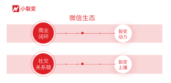 1 543 2019年，微信到底、裂变到底、增长到底！