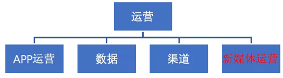 1 182 8700字详解，新媒体矩阵搭建不完全指南！