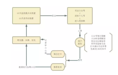 1 220 深扒打卡模式：“薄荷英语”们可以成为在线教育破局者吗？