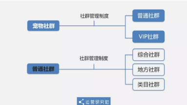 1 269  从0到12万社群用户，5年运营老司机的实操方法论