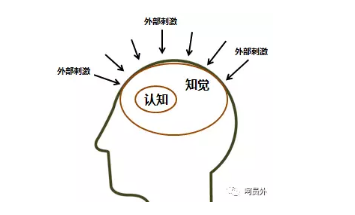 1 436 当我们在聊引流的时候，究竟在聊什么？