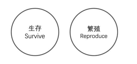 2.webp 30 生存、繁殖、懒惰......理解这些人性的欲望按钮，文案打动人只要3秒钟