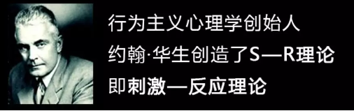 1 785 一个伟大品牌的成长路径