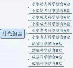 616 一款垂直类宠物APP，如何通过一个产品单点突破重围？