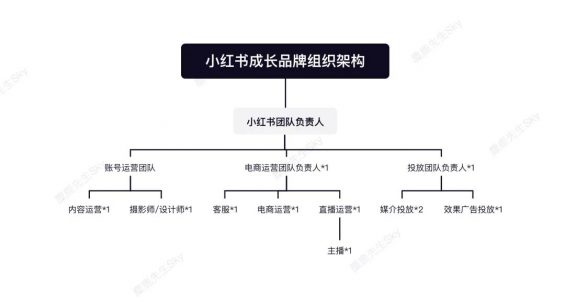 462 小红书运营团队组织架构设计方案