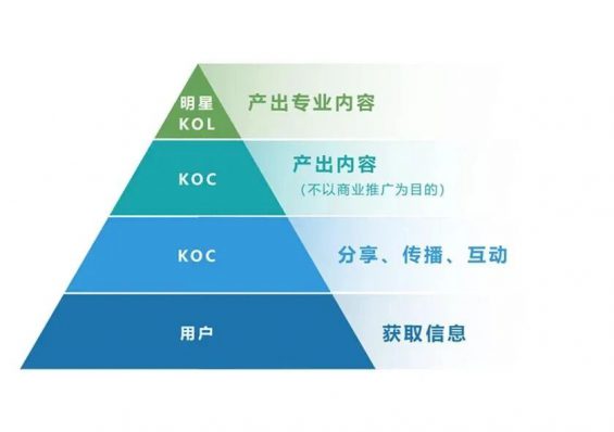 342 运营如何承接KOL和KOC用户，才能让转化效果最大化？