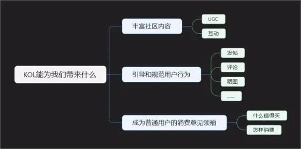 361 运营如何承接KOL和KOC用户，才能让转化效果最大化？