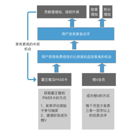 a522 大众点评 LV6 会员，为大家拆解大众点评会员运营体系