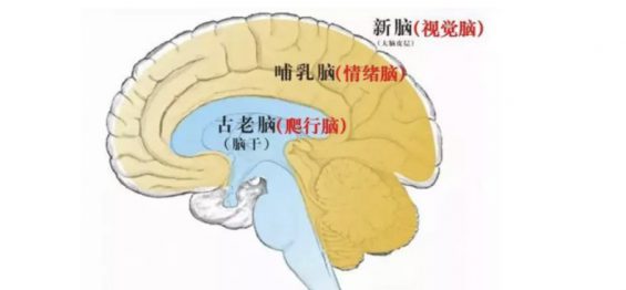 a270 如何用金字塔原理做好工作汇报