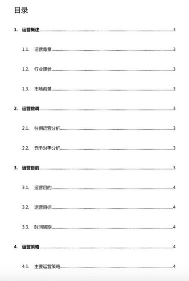 a315 完整的运营方案大纲+解释（仅供参考）