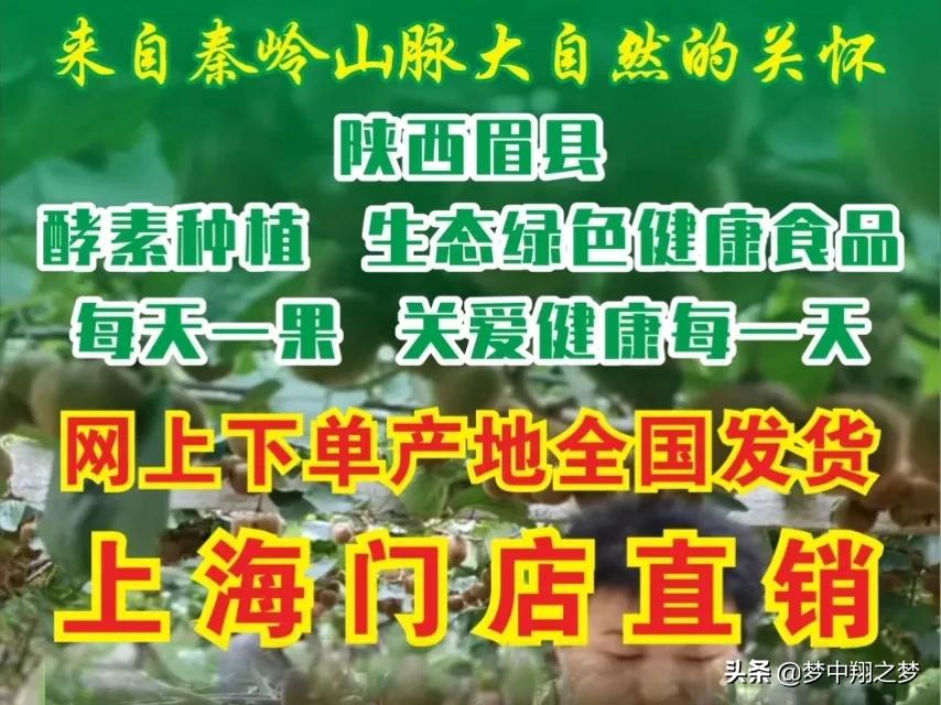 电商线下推广如何做(电商如何推广自己的产品)-第5张图片-开淘电商网