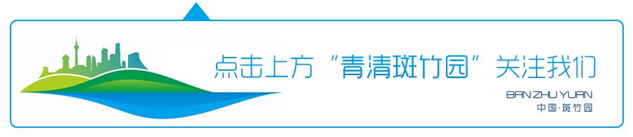 电商运营助理需要什么学历(电商运营助理主要负责什么)-第1张图片-开淘电商网